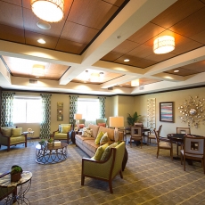 Recreation area with couches and lighting fixtures on the ceiling